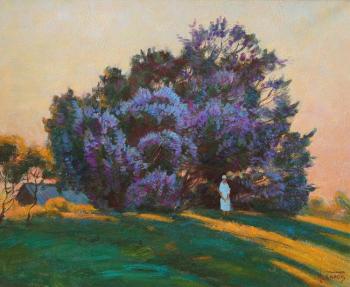 ������� ��������� �������