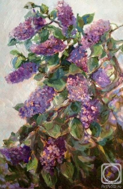 Solodilova Natalia. Lilac branch
