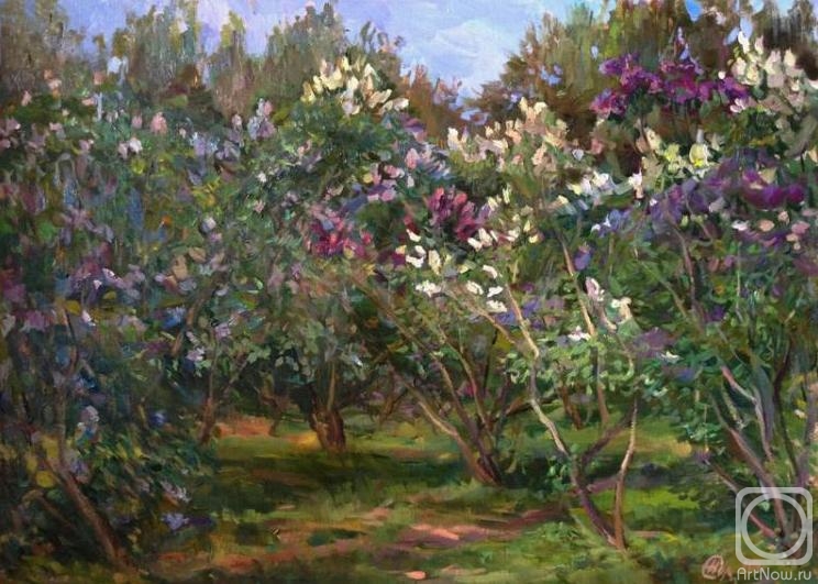Solodilova Natalia. Lilac blossoms