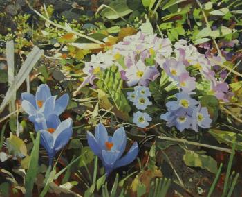 Crocuses and primrose