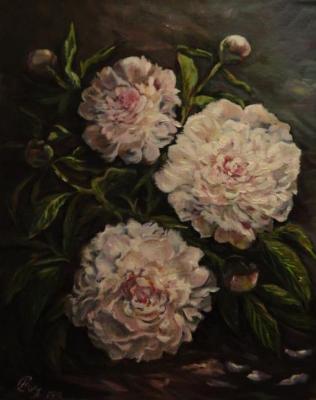 ������� ��������� ����������