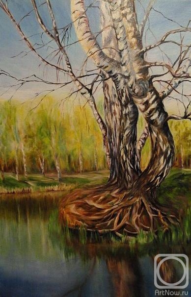 ������� ������ �� ������. ���������� �������. ��� �������