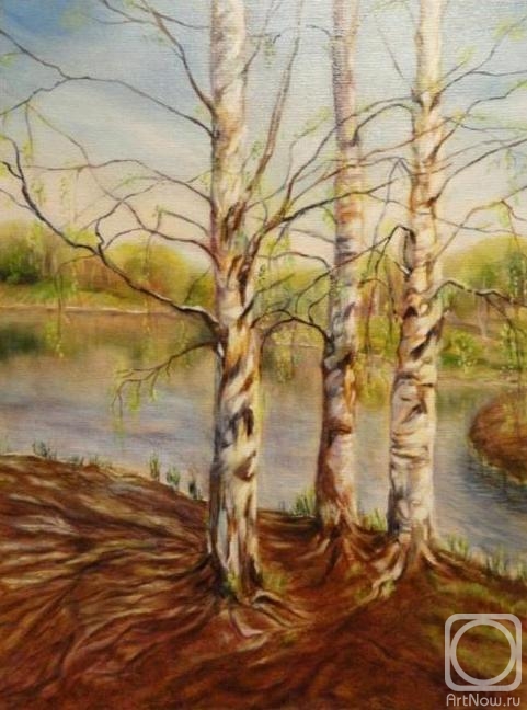 ������� ������ �� ������. ���������� �������. ��� ������