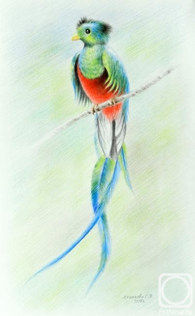 �������. �������� ��������. �������