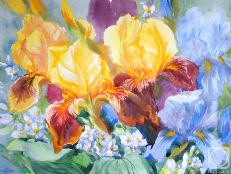 �������. ���������� ���������. ���� ������� ���