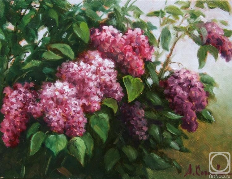 ������� ������ �� ������. ������ ���������. ������