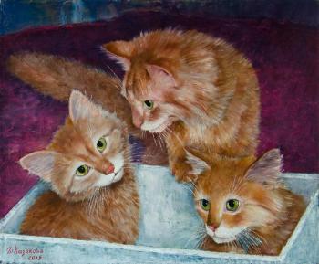 ����? ���, �� ������. �������� �������