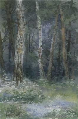 On the forest edge. Pugachev Pavel