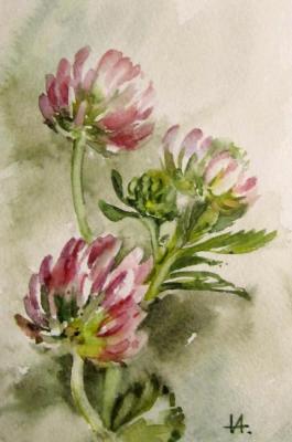 ������� �������