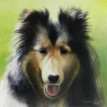 �����. �������� ��������