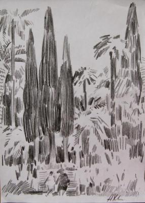 Cypresses in the tropical park of Gagra. Khvastunova Alla