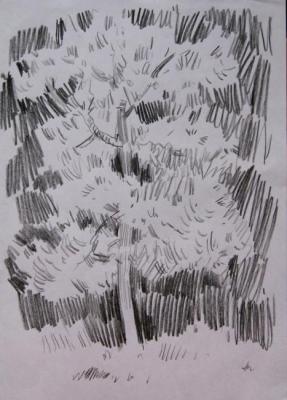 Tree drawing. Khvastunova Alla