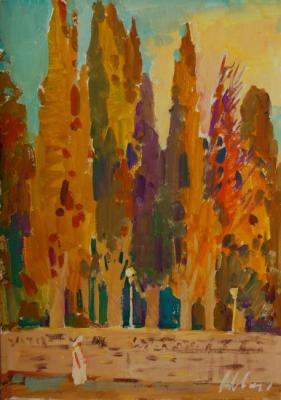 Golden cypresses, evening in the south