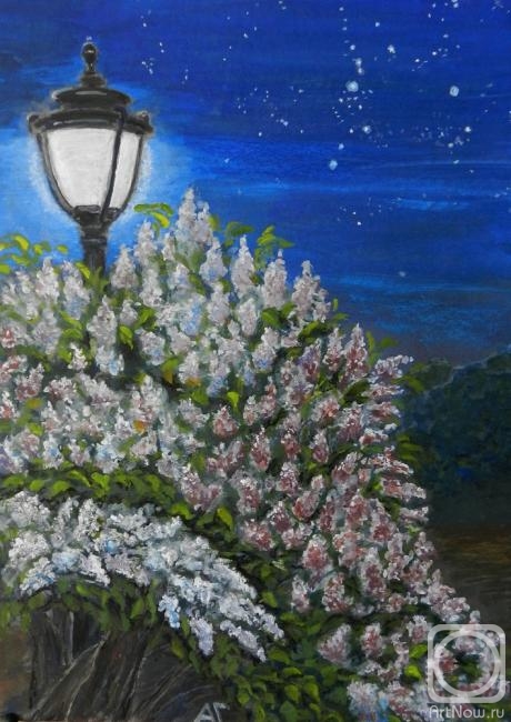 Gudkov Andrey. Lilac