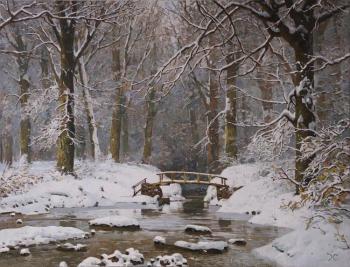 Forest. Winter