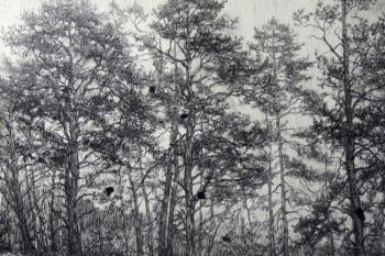 ������� ��������� ���