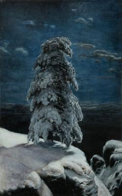 North Wild (copy). Aleksandrov Vladimir