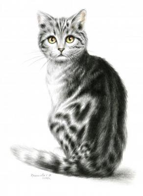 ���������� ��������� �����. �������� ��������