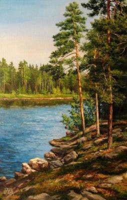 Kareliya. The river Vonga