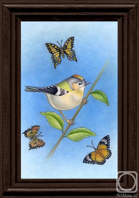 �������. ���������� ��������. ������� ��� ��������