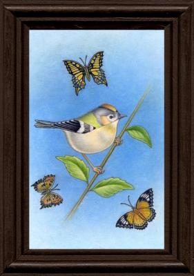 ������� ���� ���������