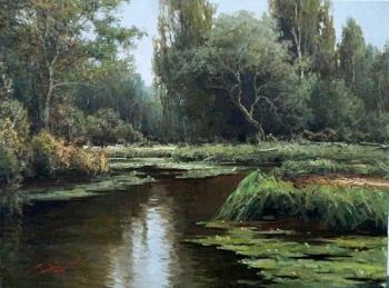 Pond. Zaitsev Alexander