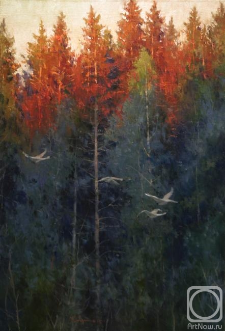 ������� ������ �� ������. �������� �������. ���