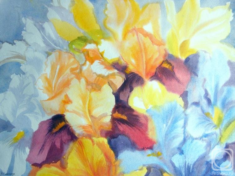 �������. ���������� ���������. �����