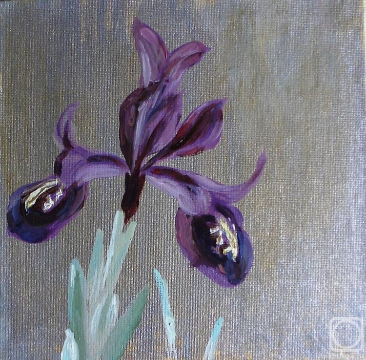 Sechko Xenia. Purple iris