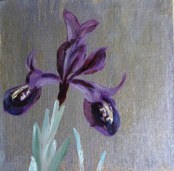 Purple iris. Sechko Xenia