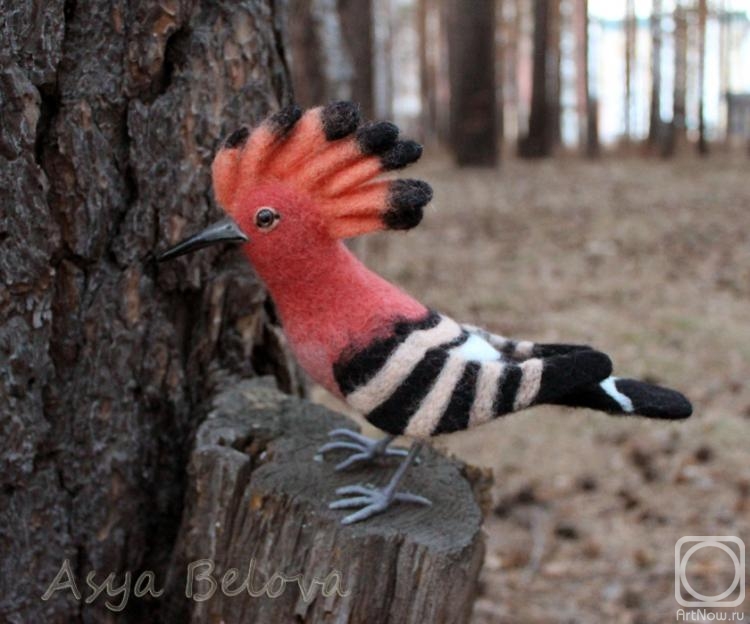 ������ ���. ����