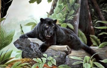 Panther (). Bruno Augusto