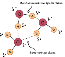 ���������� ����� ����� ���������� ���� (������) | �������� ����